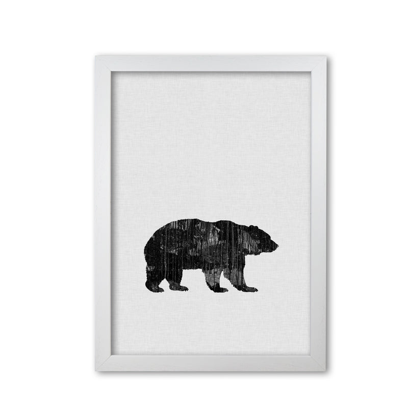 Bear Animal Art Print By Orara Studio Animal Art Print White Grain