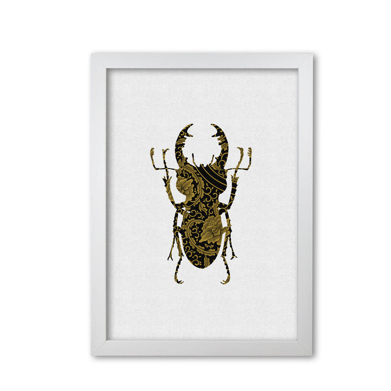 Black And Gold Beetle II Print By Orara Studio Animal Art Print White Grain