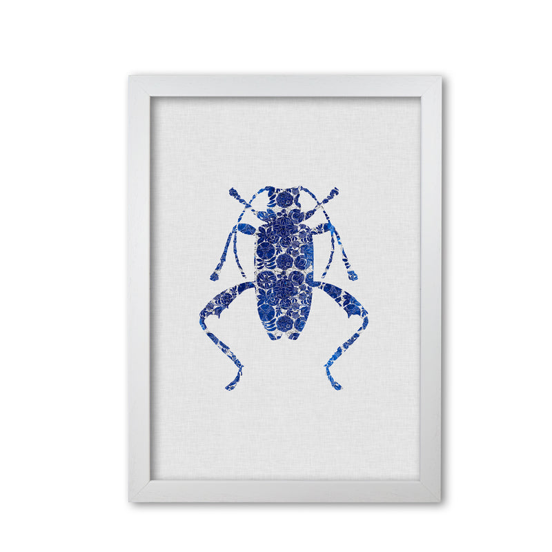 Blue Beetle IV Print By Orara Studio Animal Art Print White Grain