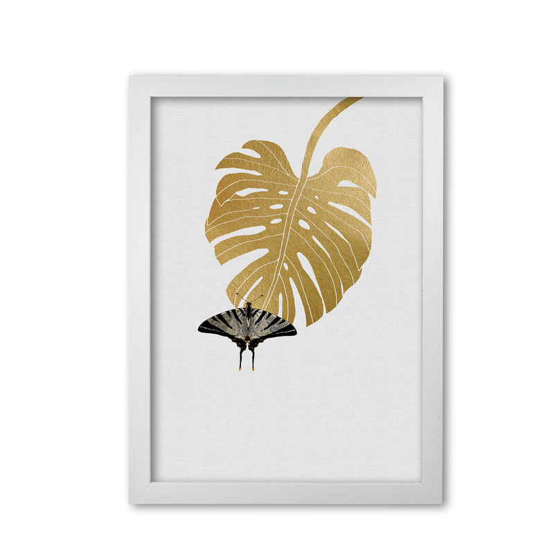 Butterfly & Monstera Leaf Print By Orara Studio White Grain
