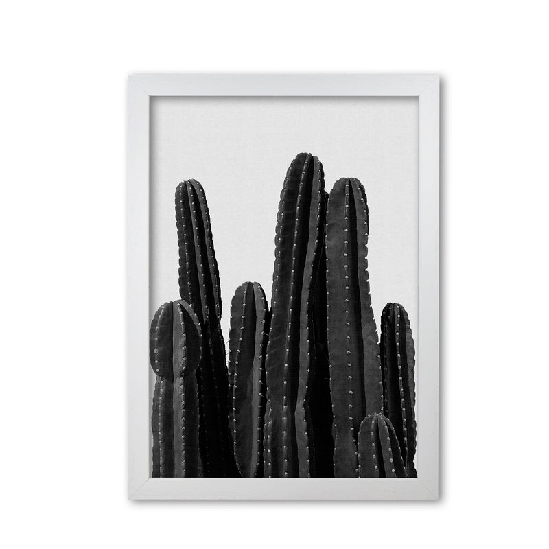 Cactus Black And White Print By Orara Studio, Framed Botanical Art White Grain