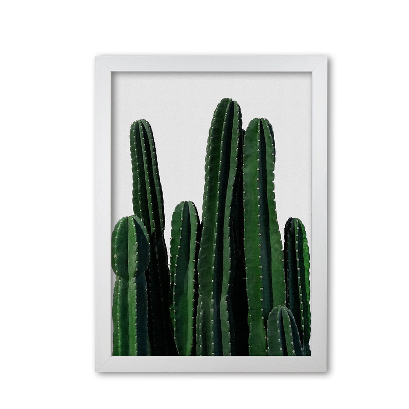 Cactus I Print By Orara Studio, Framed Botanical & Nature Art Print White Grain