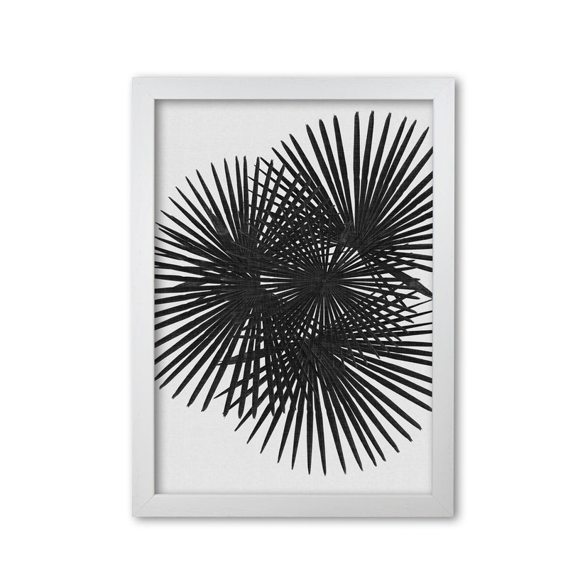 Fan Palm Black & White Print By Orara Studio White Grain