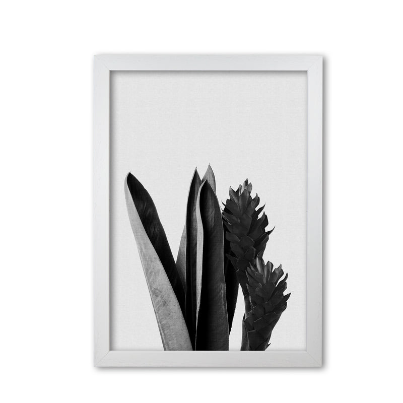 Flower Black & White Print By Orara Studio White Grain