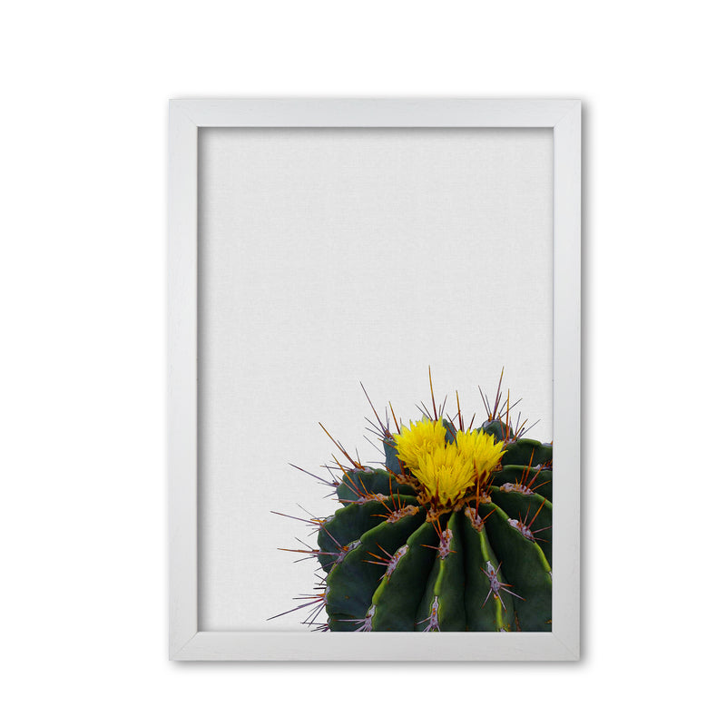 Flower Cactus Print By Orara Studio, Framed Botanical & Nature Art Print White Grain