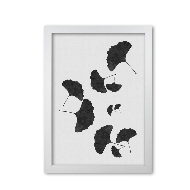 Ginkgo Leaf Black & White I Print By Orara Studio White Grain