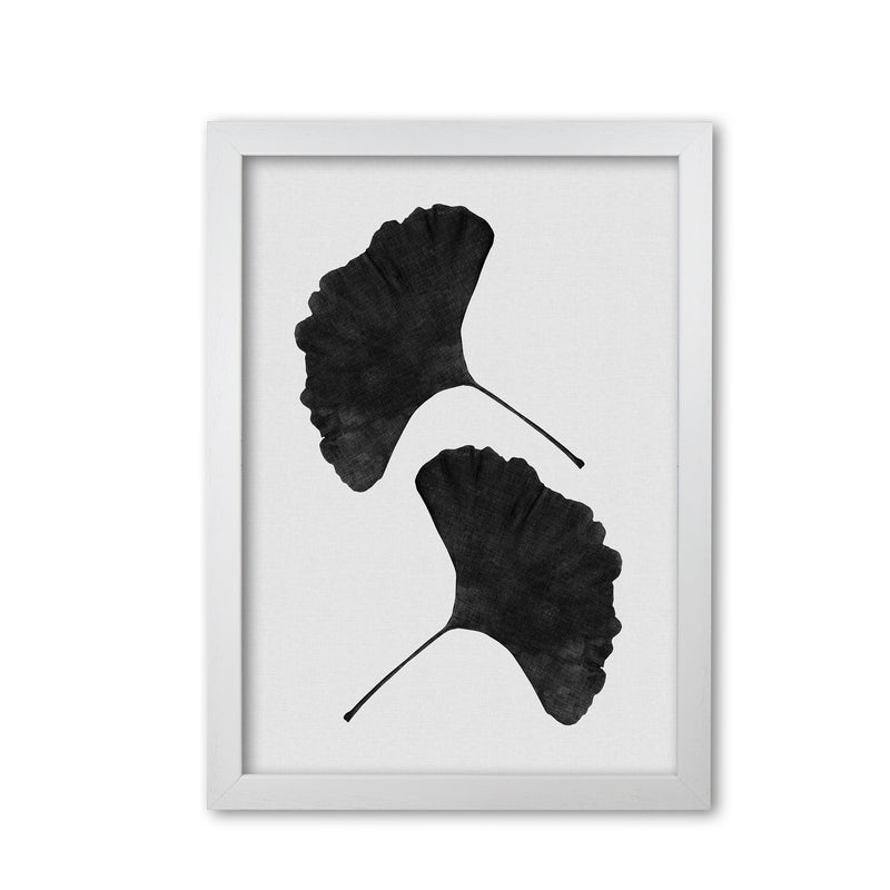 Ginkgo Leaf Black & White II Print By Orara Studio White Grain