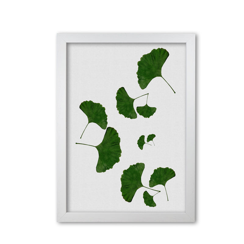 Ginkgo Leaf I Print By Orara Studio, Framed Botanical & Nature Art Print White Grain