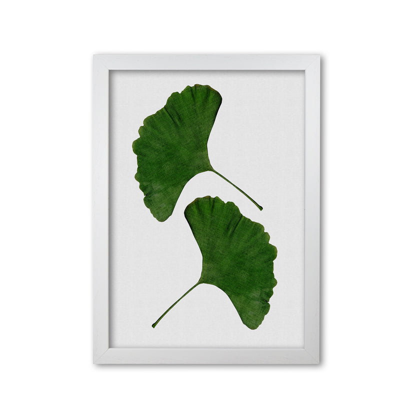 Ginkgo Leaf II Print By Orara Studio, Framed Botanical & Nature Art Print White Grain