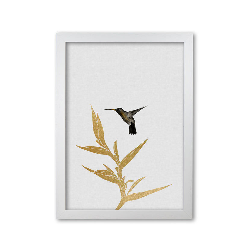 Hummingbird & Flower II Print By Orara Studio White Grain