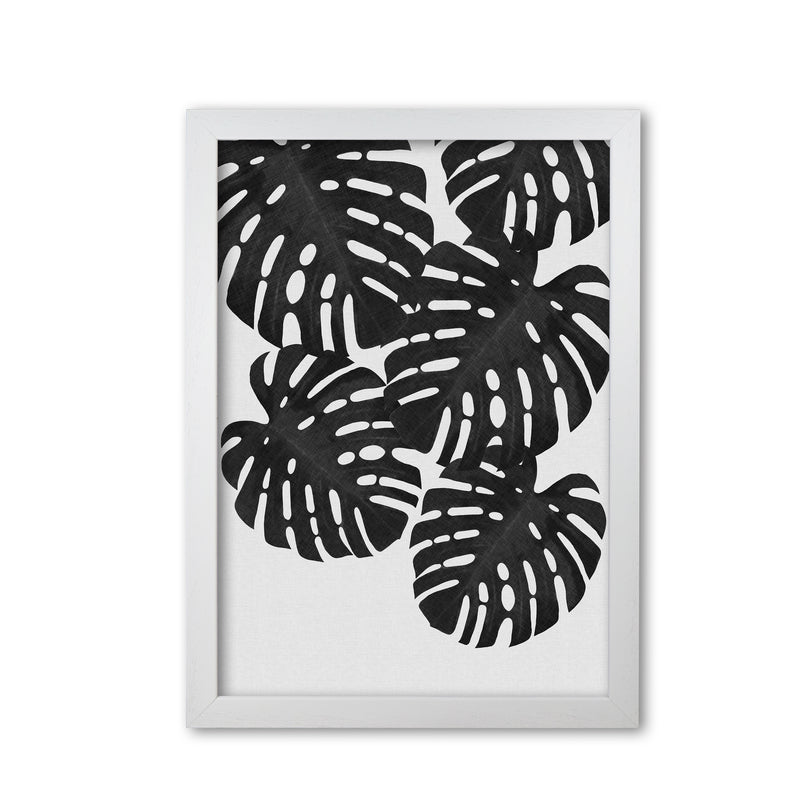 Monstera Black & White I Print By Orara Studio White Grain
