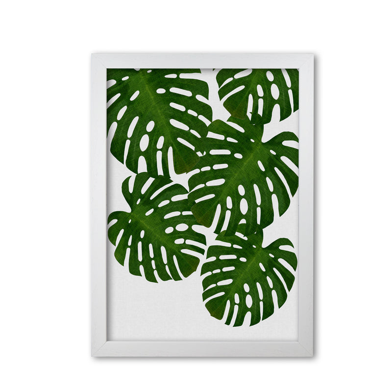 Monstera Leaf I Print By Orara Studio, Framed Botanical & Nature Art Print White Grain