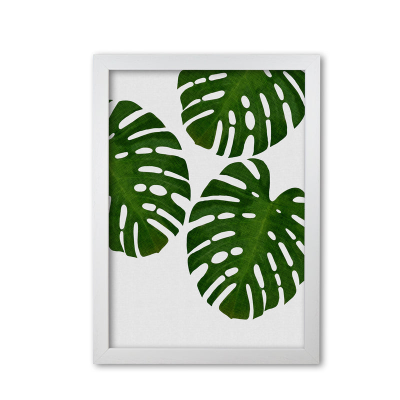 Monstera Leaf III Print By Orara Studio, Framed Botanical & Nature Art Print White Grain