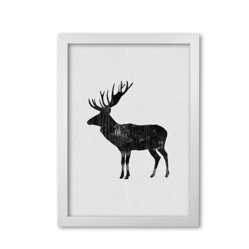Moose Animal Art Print By Orara Studio Animal Art Print White Grain