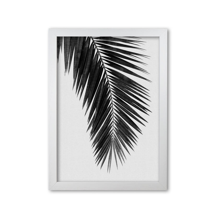Palm Leaf Black & White I Print By Orara Studio White Grain