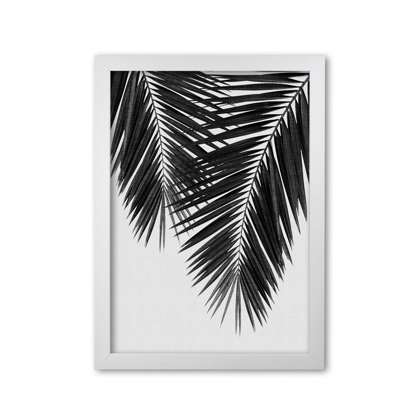 Palm Leaf Black & White II Print By Orara Studio White Grain