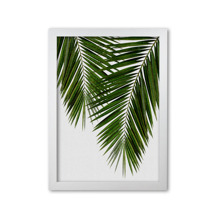 Palm Leaf II Print By Orara Studio, Framed Botanical & Nature Art Print White Grain