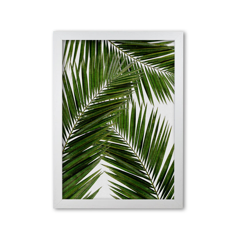 Palm Leaf III Print By Orara Studio, Framed Botanical & Nature Art Print White Grain
