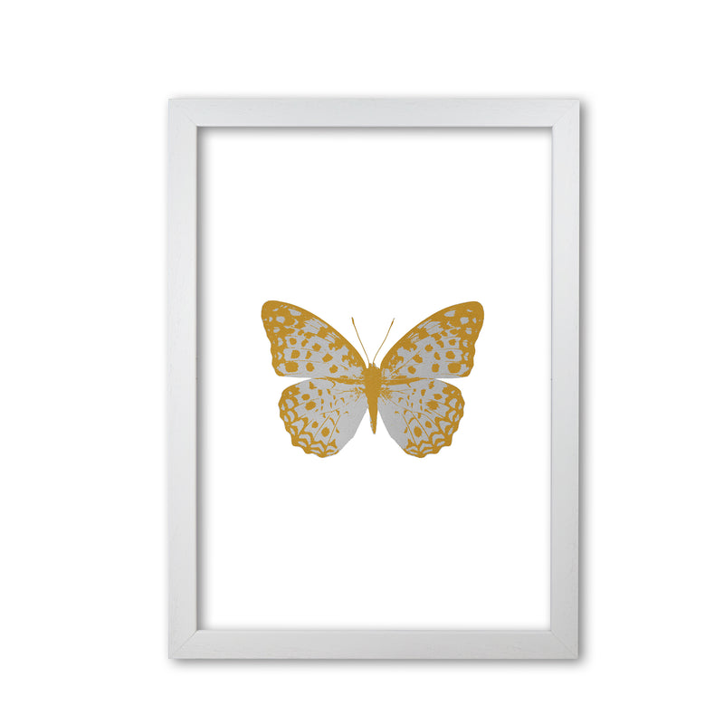Silver Butterfly Print By Orara Studio Animal Art Print White Grain