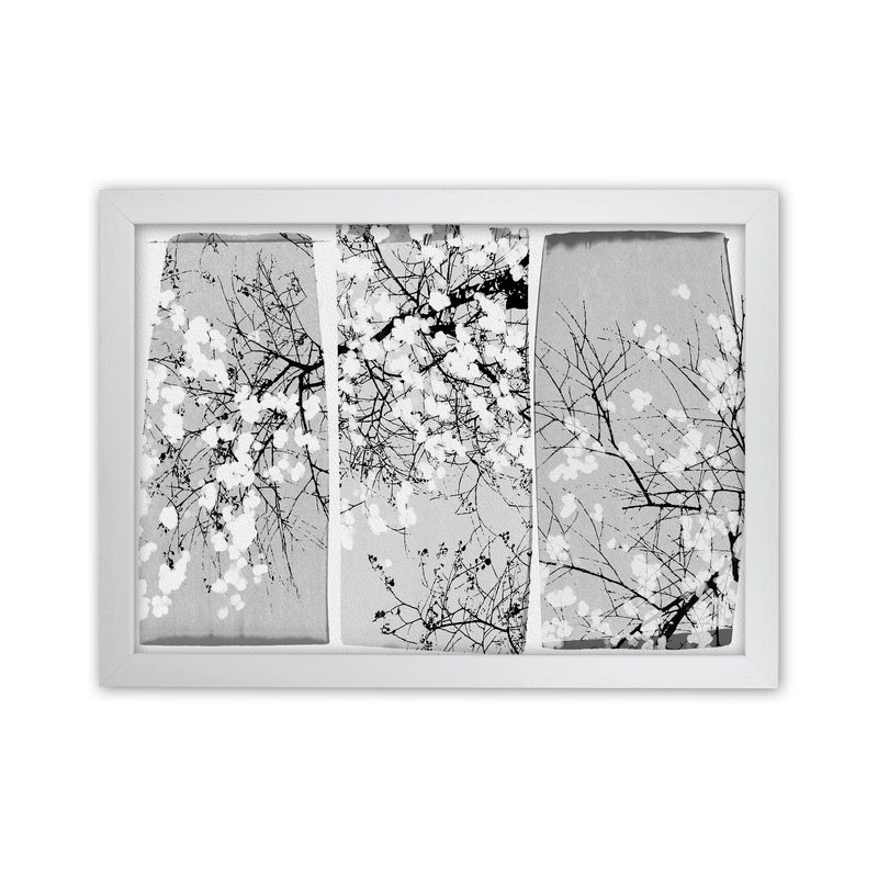 Oriental Blossom Botanical Art Print by Orara Studio White Grain