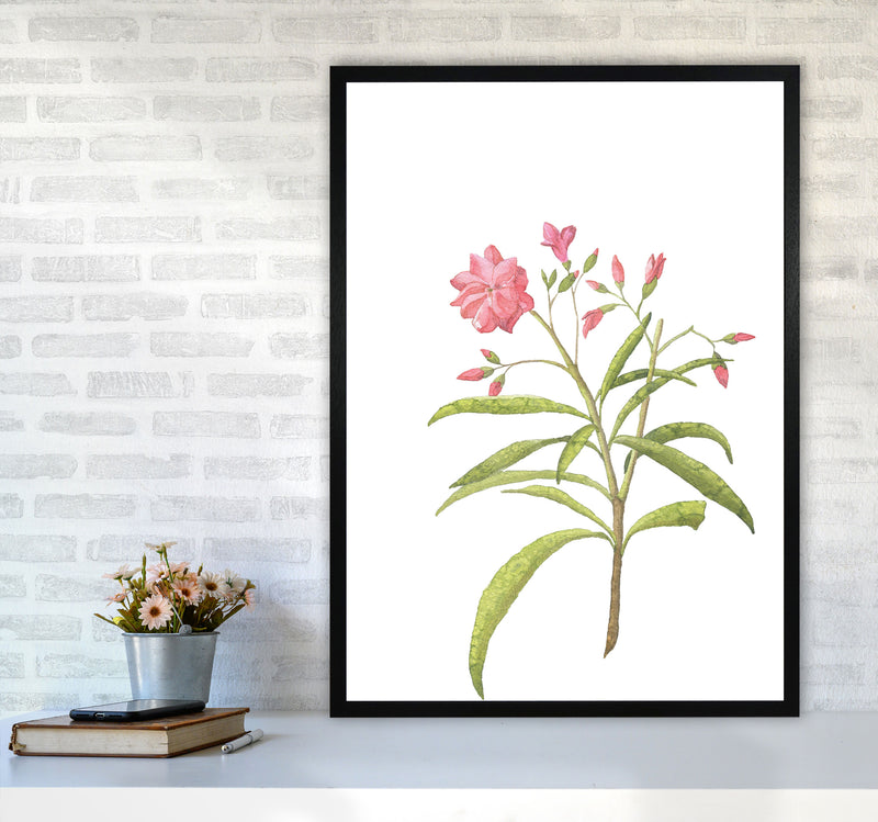 Pink Flower Modern Print, Framed Botanical & Nature Art Print A1 White Frame