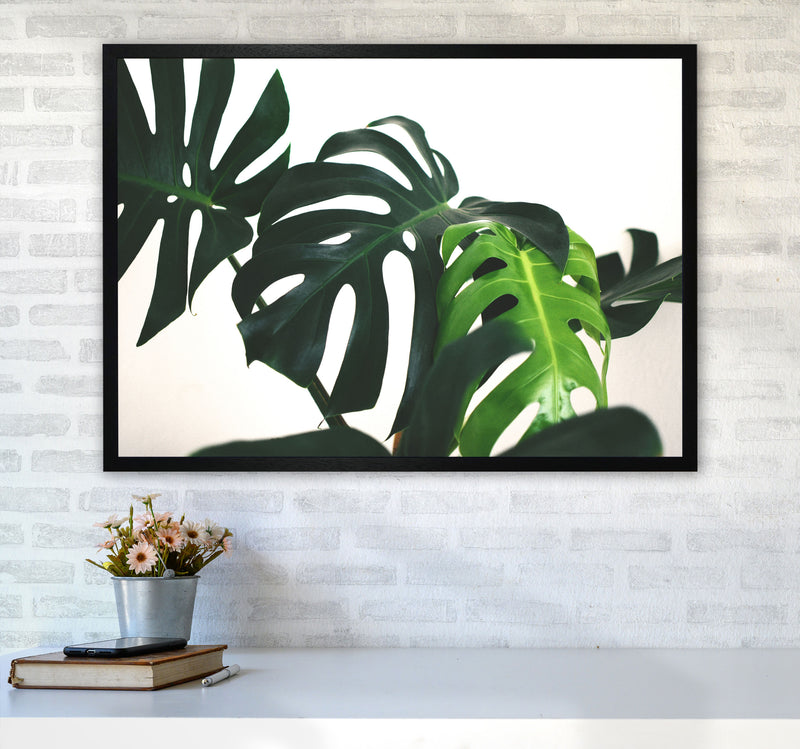 Monstera Leaf Landscape Modern Print, Framed Botanical & Nature Art Print A1 White Frame