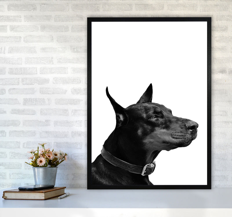 Black And White Dog Modern Print Animal Art Print A1 White Frame