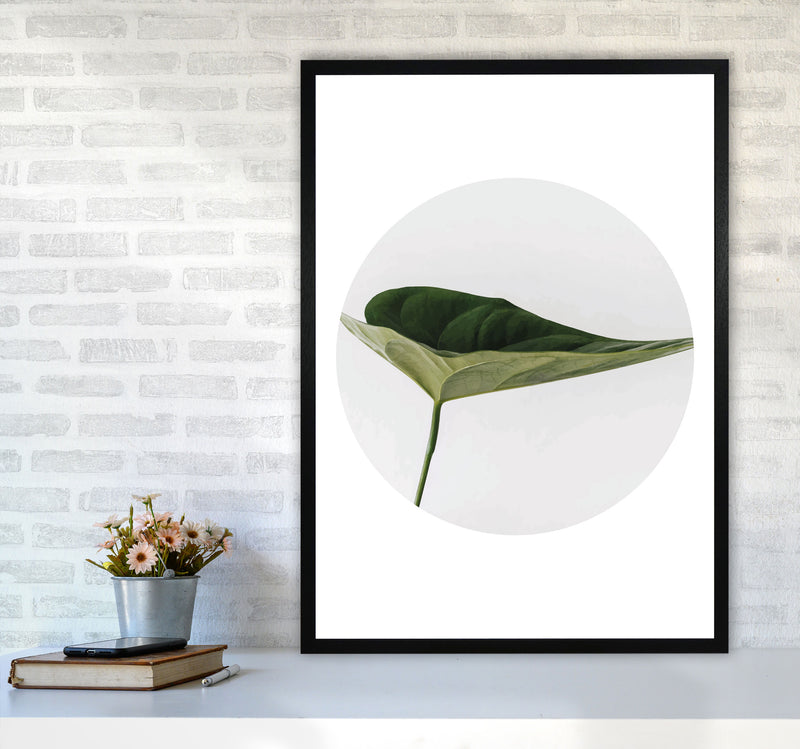 Doc Leaf Modern Print, Framed Botanical & Nature Art Print A1 White Frame