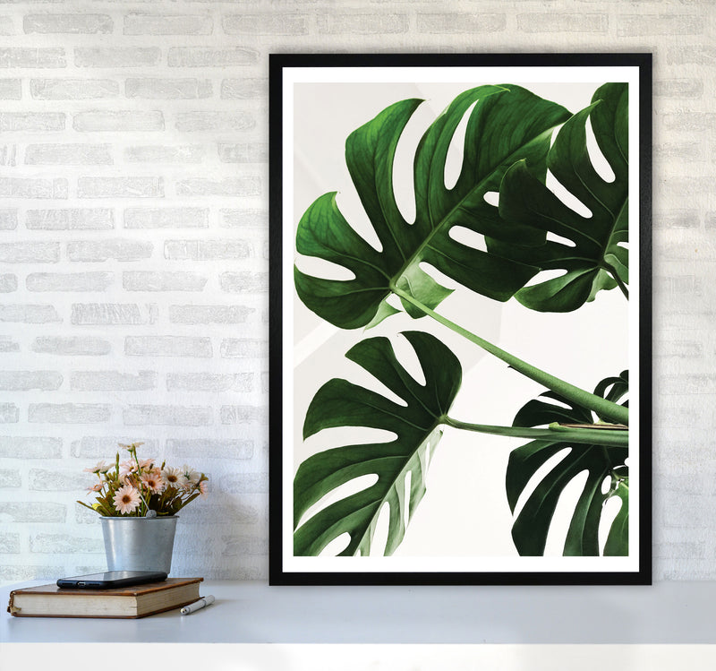Monstera Leaf Modern Print, Framed Botanical & Nature Art Print A1 White Frame