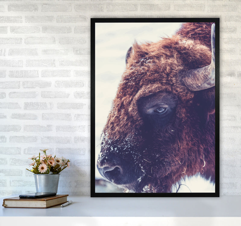 Bull Modern Print Animal Art Print A1 White Frame