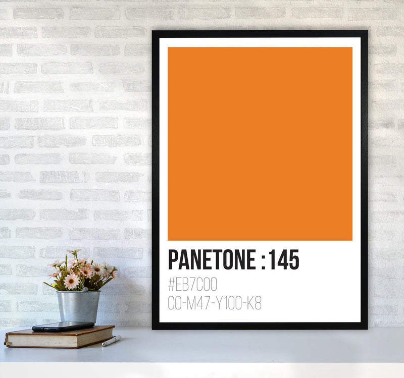 Panetone Colours 145 Modern Print A1 White Frame