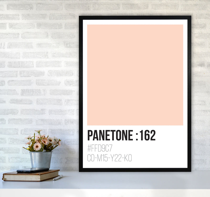 Panetone Colours 162 Modern Print A1 White Frame
