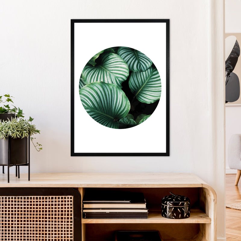 Green Leaf Circle Window  Art Print by Pixy Paper A1 White Frame