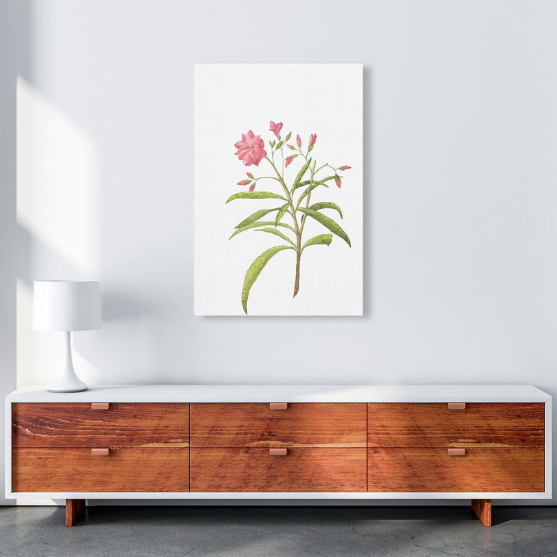 Pink Flower Modern Print, Framed Botanical & Nature Art Print A1 Canvas