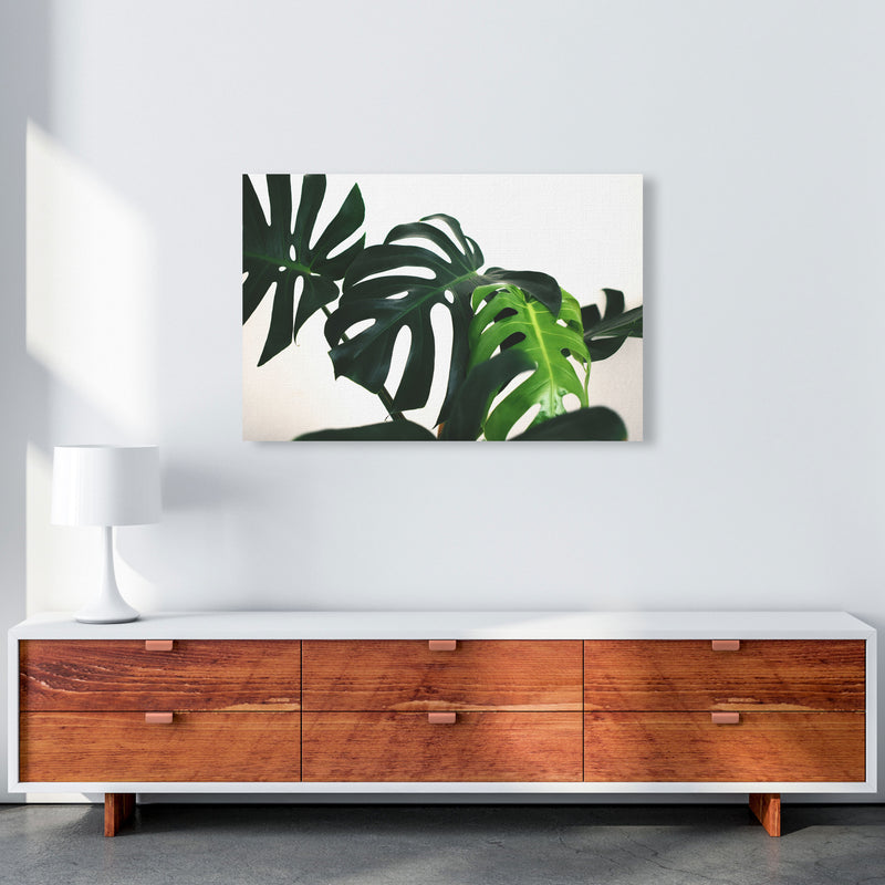 Monstera Leaf Landscape Modern Print, Framed Botanical & Nature Art Print A1 Canvas