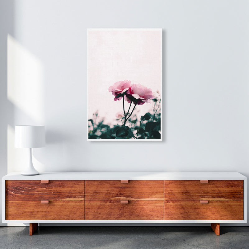 Pink Rose Modern Print, Framed Botanical & Nature Art Print A1 Canvas