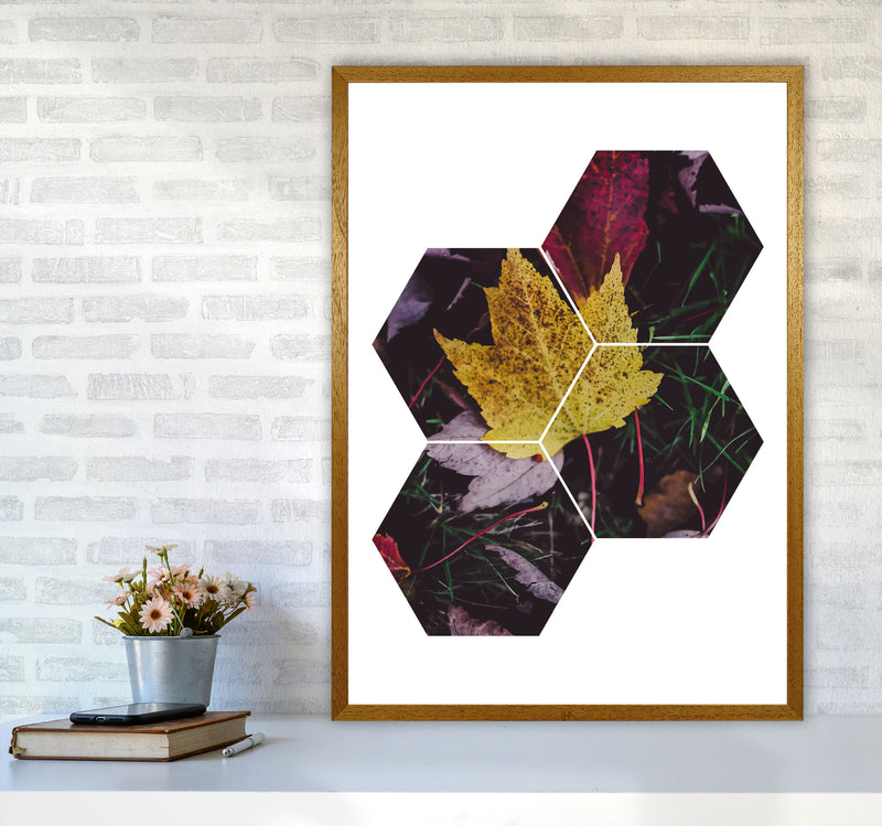 Leaf And Grass Abstract Hexagons Modern Print A1 Print Only