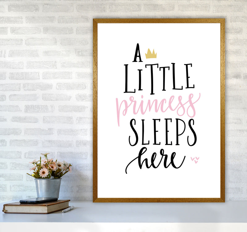 A Little Princess Sleeps Here Framed Nursey Wall Art Print A1 Print Only