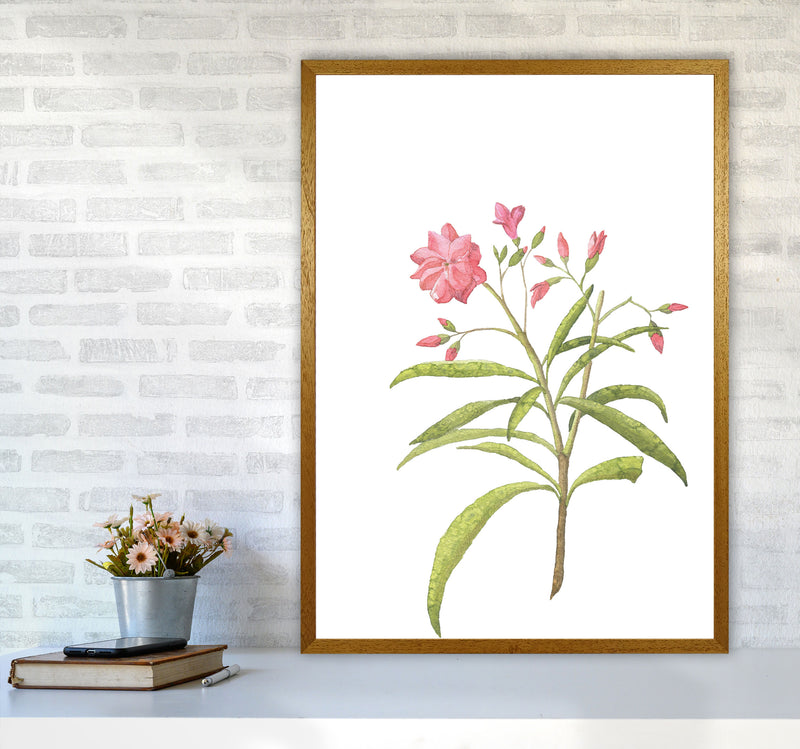 Pink Flower Modern Print, Framed Botanical & Nature Art Print A1 Print Only