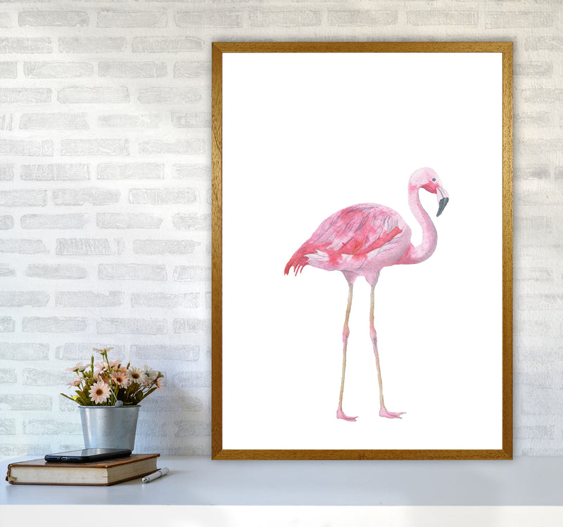 Pink Flamingo Modern Print Animal Art Print A1 Print Only