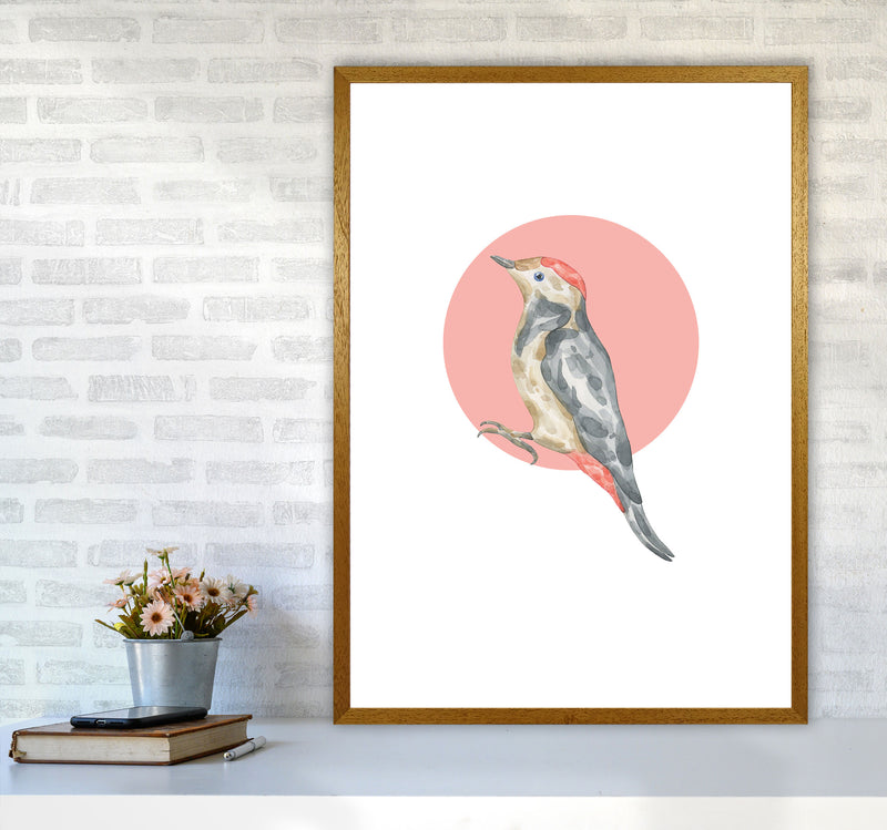 Watercolour Bird With Red Circle Modern Print Animal Art Print A1 Print Only
