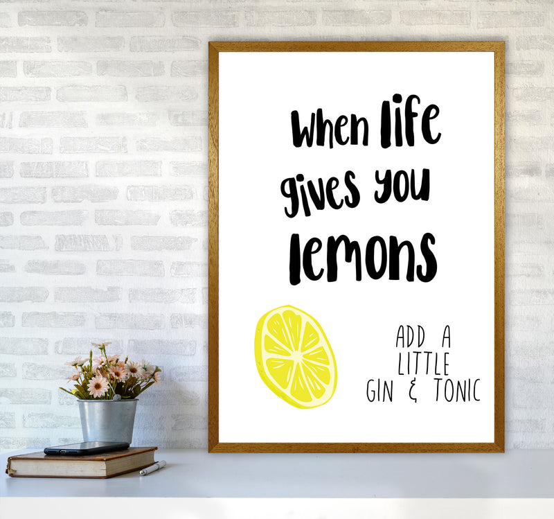 Humorous Gin Sayings Multi Set Kitchen Typography Wall Art A1 Print Only