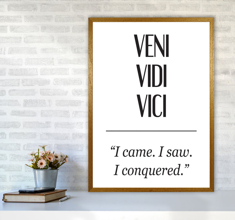 Veni Vidi Vici Modern Print A1 Print Only