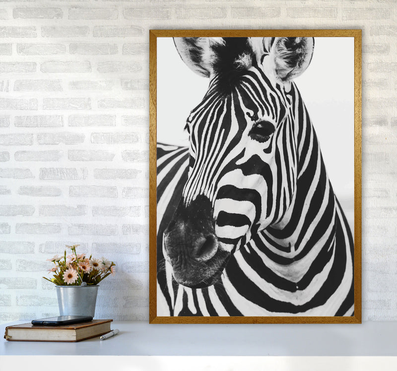 Black And White Zebra Modern Print Animal Art Print A1 Print Only