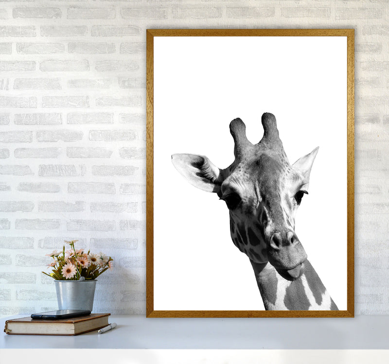 Black And White Giraffe Modern Print Animal Art Print A1 Print Only