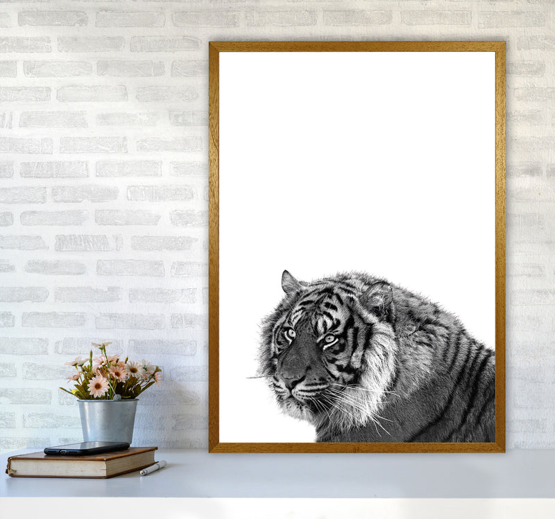 Black And White Tiger Modern Print Animal Art Print A1 Print Only