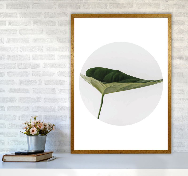 Doc Leaf Modern Print, Framed Botanical & Nature Art Print A1 Print Only