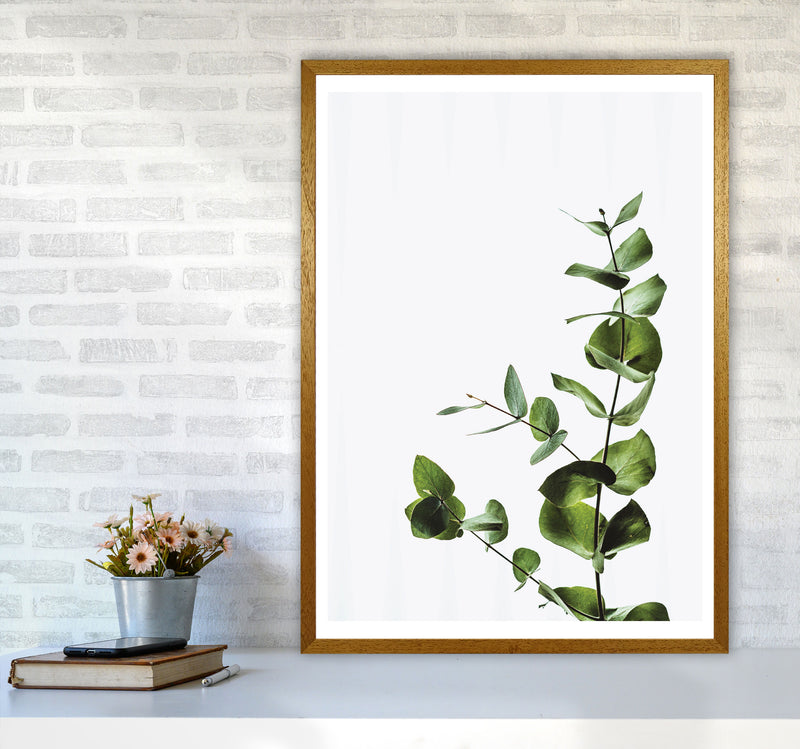 Elegant Green Plant Modern Print, Framed Botanical & Nature Art Print A1 Print Only