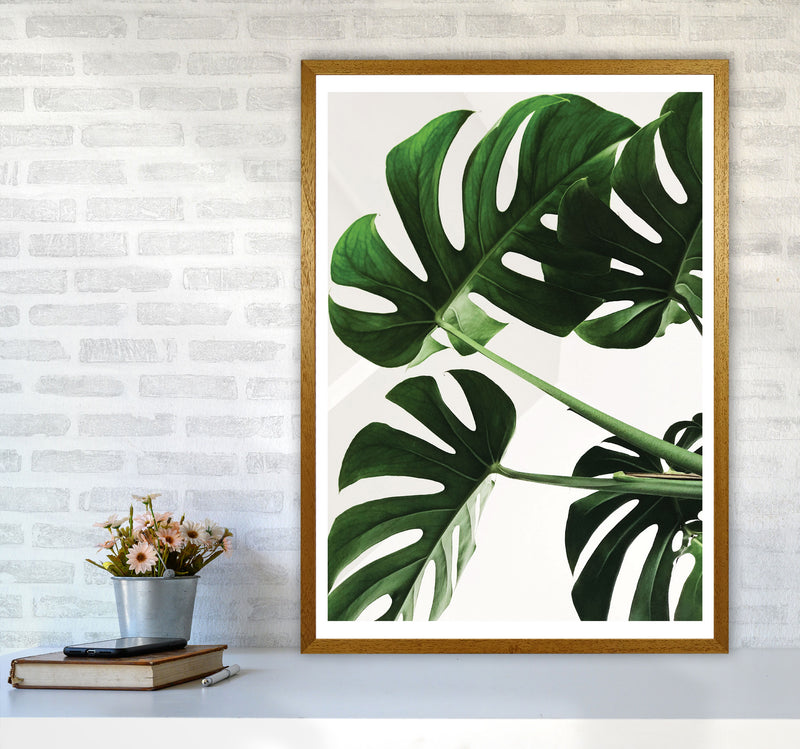 Monstera Leaf Modern Print, Framed Botanical & Nature Art Print A1 Print Only