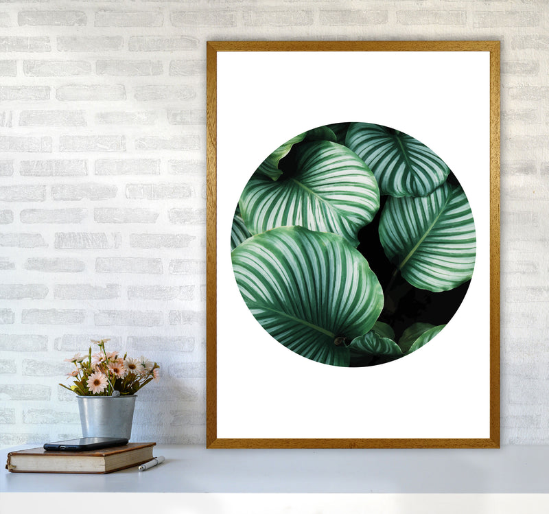 Green Leaves Circle Modern Print, Framed Botanical & Nature Art Print A1 Print Only